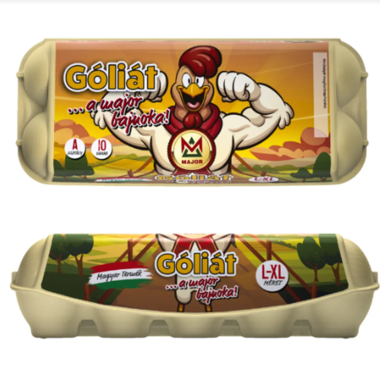 Minőségi magyar dobozos tojás L-XL méret