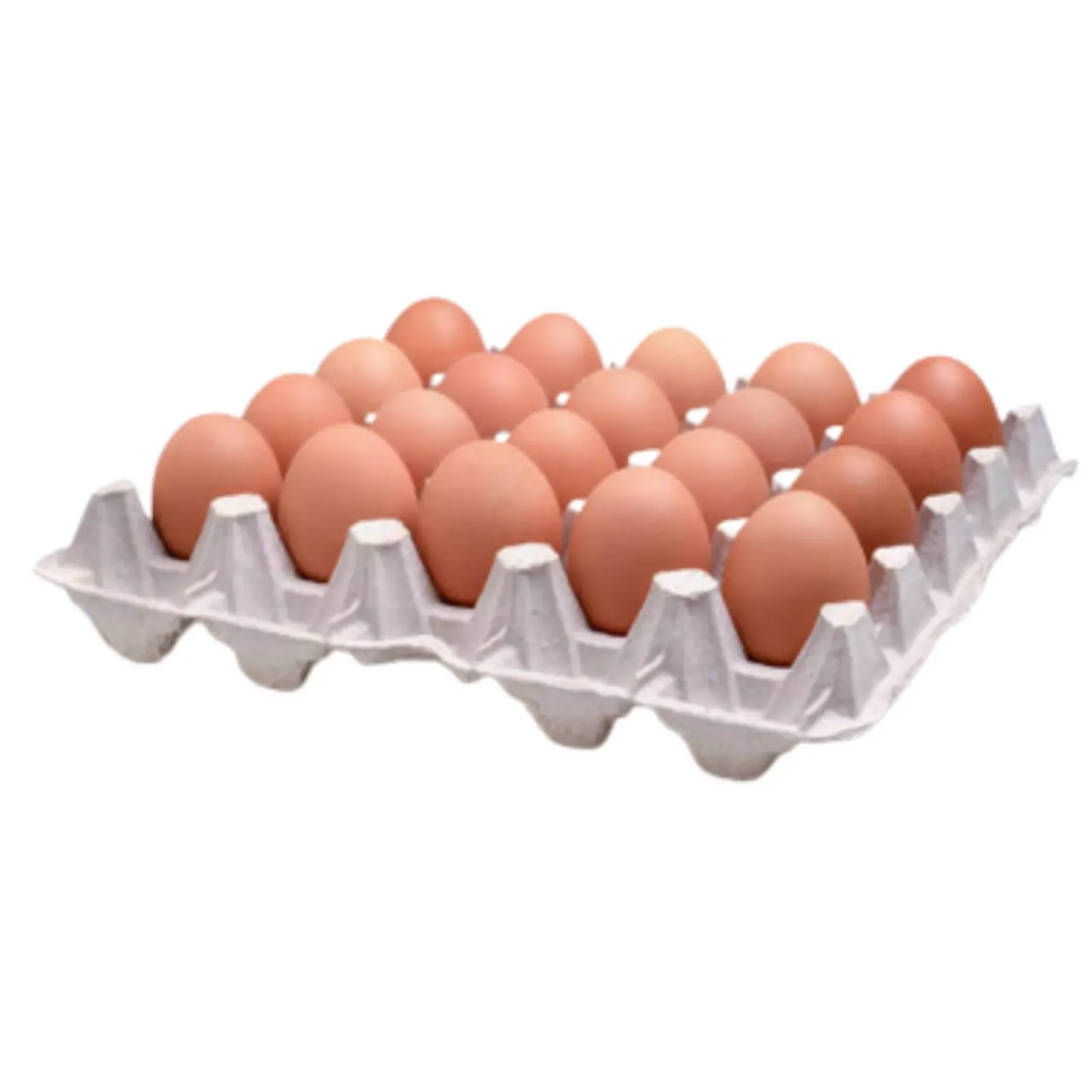 Minőségi magyar tálcás tojás XL méret