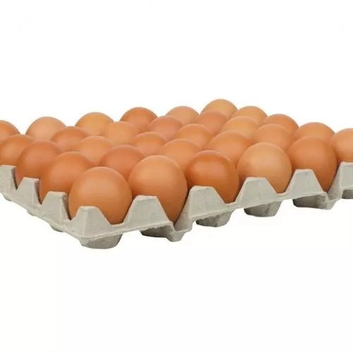 Minőségi magyar tálcás tojás M méret